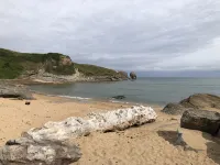 Cabaña de Ensueño en el Bosque y Junto al Mar. Ideal Pareja ,dos Niños y Mascota - Bungalows