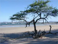 Jet Luxury at Langosta BeachResortVillas - Ocean View