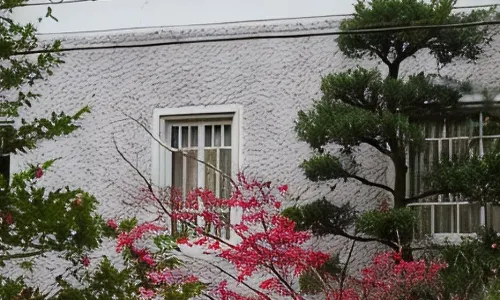 Oku-Mikawa・Yuya Onsen HAZU Bekkan