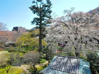 Yoshiike Ryokan Hotel a Hakone