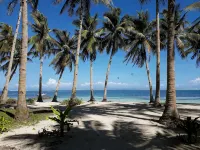 Mango Tree Siargao - Villas