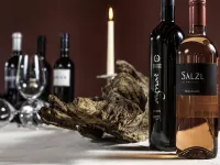Hotel Restaurant Seegarten Hotels in Arbon