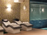 畢爾巴鄂阿爾比亞花園美居酒店 - SPA