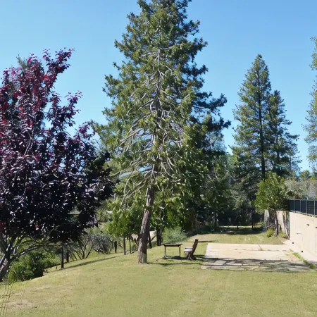Yosemite Gateway at Bass Lake — A Spacious Sierra Nevada Mountain Retreat