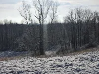 Sandstone Point Vacation Cabin - McConnelsville