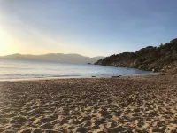 Looking for some sun? Renovated, air-conditioned apartment with swimming pool in Cavalaire. - Apartments