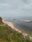 Seaside mansion with detached garden - Homestays