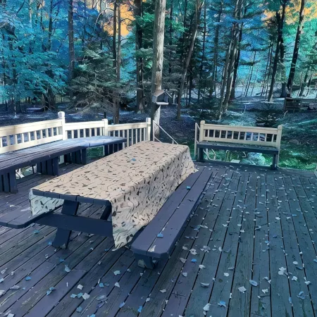 Cozy 2-bedroom cabin in South Shore of Hubbard Lake