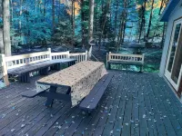 Cozy 2-bedroom cabin in South Shore of Hubbard Lake