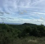 New Listing! Nature's Ridge. Relaxing Vacation In The Lush Tropical Rain Forest - Wifi