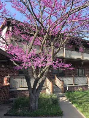 Located on a 12 acre orchard, this large upscale home features stunning views