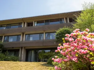 센고쿠바라 코콘