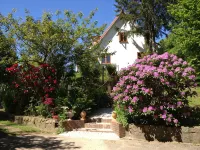 Hale Aloha Woodstove Paradise Garden 7Person House. Naturepark Vacation with Dog - Balkoner
