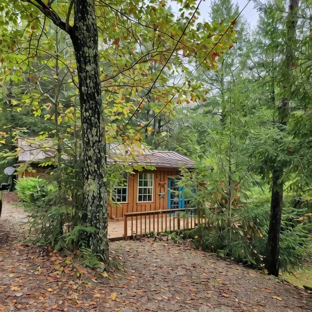 2BR cabin with private hollow, creek, and historic dam, minutes to trails/food