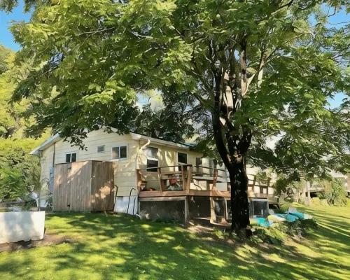 Riverside cabin in NRG National Park & Preserve Hotels in Summers County