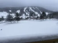Newly Renovated Family Ski Condo Across the Street from Greek Peak