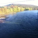 Cozy Cottage on the Delaware - Chalets