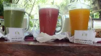 El Pueblito Iguazú - bar