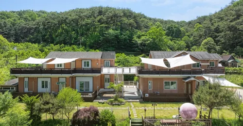 Cheongyang Bean Field Pension