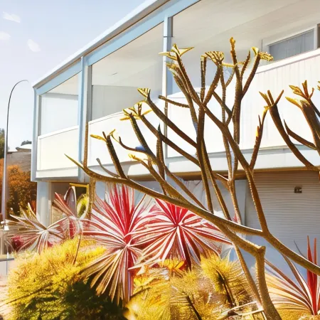 Mollymook Motel
