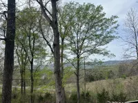 Charming 3-bedroom cabin with WiFi and AC in Rileyville. Mtn and river views.