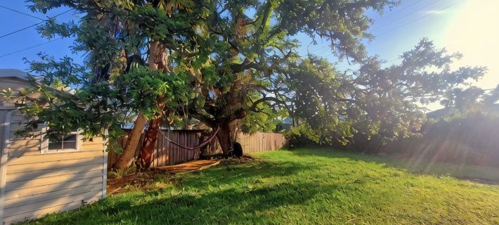 Tropical Suite with Garden near Beaches & Nature in Melbourne Hotels in Melbourne