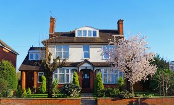 Ricky Road Guest House - Premium