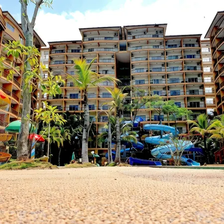 Gold Coast Morib