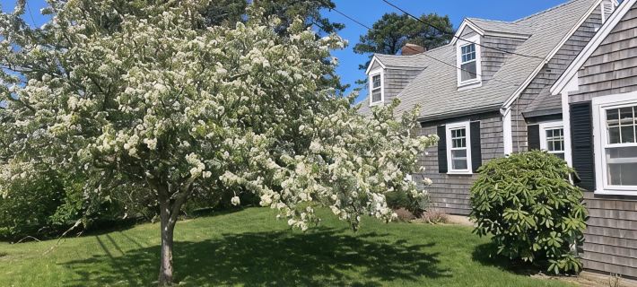 Classic Cape House Walking Distance to the Beach - Many Recent Upgrades Ξενοδοχεία στην πόλη Chatham
