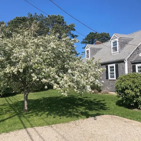 Classic Cape House Walking Distance to the Beach - Many Recent Upgrades