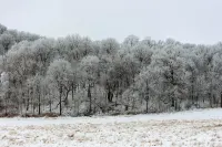 Cozy Amish built cabin in the heart of the Kickapoo Valley Reserve State Park. - Chalets