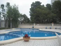Hotel Roca - Pools