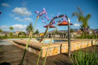 Hacienda Los Olivos, Valle de Guadalupe - Hot Tub