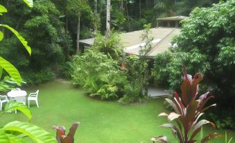 Daintree Deep Forest Lodge