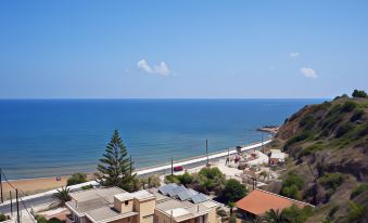 a view of a coastal town with houses , roads , and the ocean in the background at Renieris Hotel