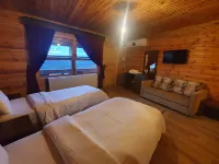 Toptepe Panorama Çiftlik Evi Hôtels à : Düzce