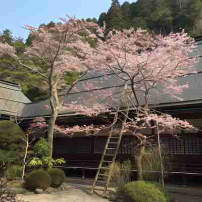 遍照光院 Hotel Exterior