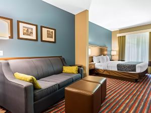 Comfort Suites Fairview Heights