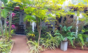 Yashi's Place Sigiriya