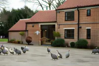 Brickfields Farm Hotels near Anthony Gormley Stargazing Sculpture