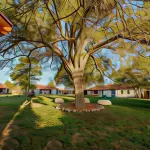 Antelope Lodge Hotels in Alpine