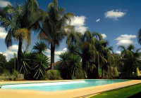 Echuca Motel - Kolam Renang