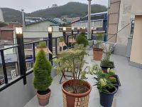 Mokpo Soho Hotels in Mokpo