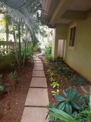 Asian Paradise Comfort