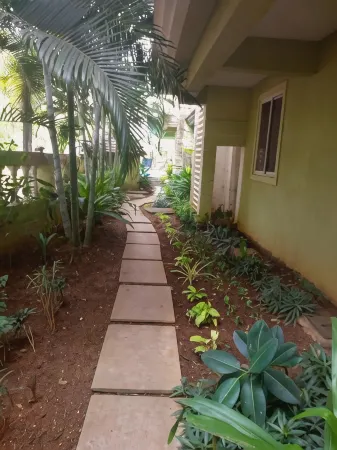 Asian Paradise Comfort