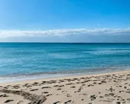 Chill Garden Experience B&B