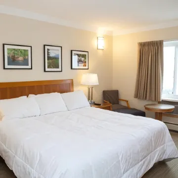 Twin Pine Inn & Suites