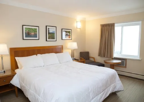 Twin Pine Inn & Suites Hotels in 