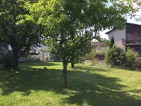 Lydiavi Hotels in 