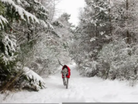 The Stables Cottage Aboyne Royal Deeside Hotels in Aboyne